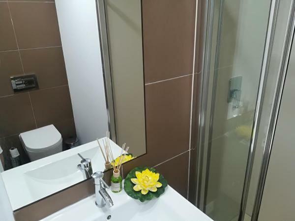 Iris Apartment Pombal  Exterior photo